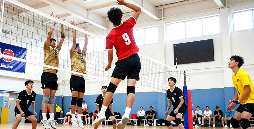Türkiye Thống Trị Serbia 3-0 Ở Bán Kết EuroVolley 2026: Dịch Vụ Và Chặn Bóng Quyết Định Vé Olympic 2028 Türkiye Thống Trị Serbia 3-0 Ở Bán Kết EuroVolley 2026: Dịch Vụ Và Chặn Bóng Quyết Định Vé Olympic 2028